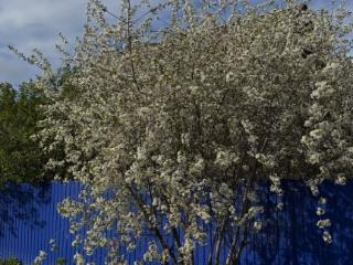  дом, 71.6 м², 7.8 соток