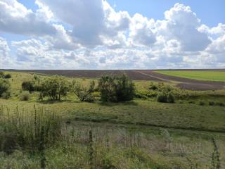 1-этажный дом, 45 м², 16.5 соток