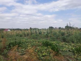 1-этажный дом, 48.2 м², 10 соток