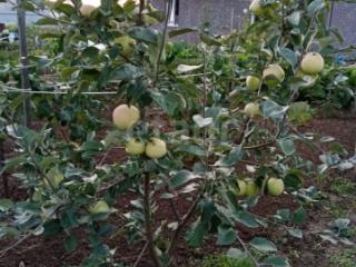 1-этажный дом, 94.5 м², 12.3 соток