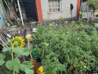  дом, 55 м², 15 соток