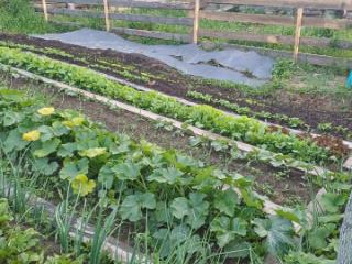 1-этажный дом, 280 м², 12 соток