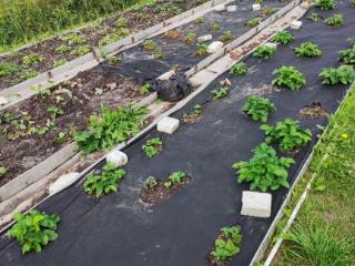  коттедж, 45.8 м², 11 соток