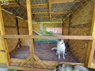 1-этажный дом, 45 м², 17 соток