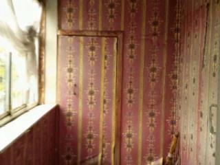 1-этажный дом, 40 м², 6 соток