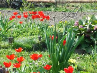 2-этажный дом, 35 м², 10 соток