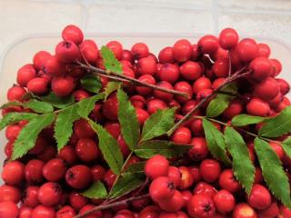  дом, 38 м², 7 соток