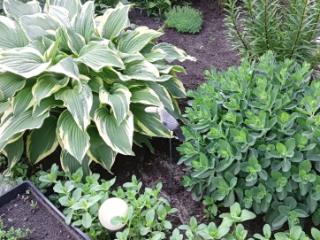 1-этажный дом, 72.9 м², 3.5 сотки