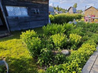  коттедж, 15 м², 6 соток