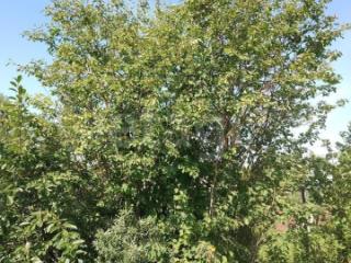 1-этажный дом, 63.8 м², 5.92 соток