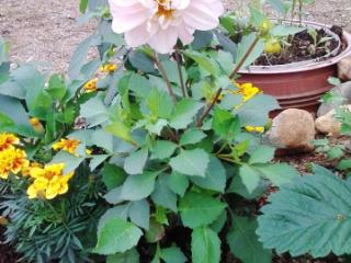 2-этажный дом, 61.5 м², 10.51 соток