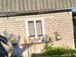  коттедж, 20 м², 4 сотки