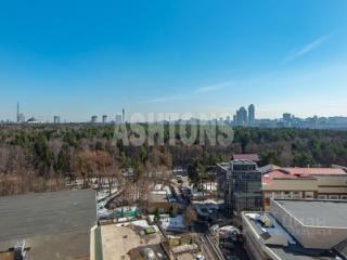 3-комн. квартира, 128 м², 12/43 этаж