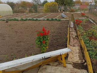  коттедж, 10 м², 11 соток