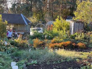  коттедж, 20 м², 11.8 соток