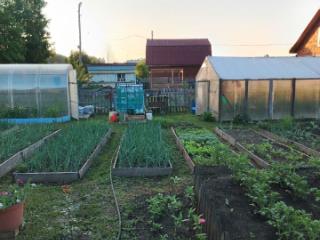 1-этажный дом, 19 м², 10 соток