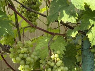 2-этажный дом, 183 м², 20 соток