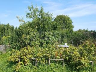 1-этажный дом, 63.8 м², 5.92 соток