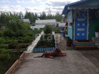 1-этажный дом, 24 м², 5.2 соток