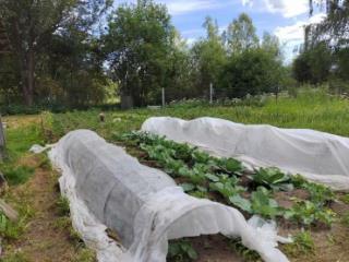 1-этажный дом, 105.2 м², 10 соток