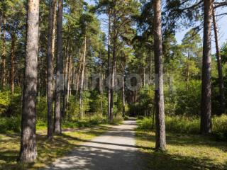  дом, 80 м², 7 соток