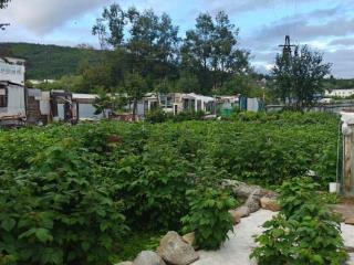  дом, 38.5 м², 15.5 соток