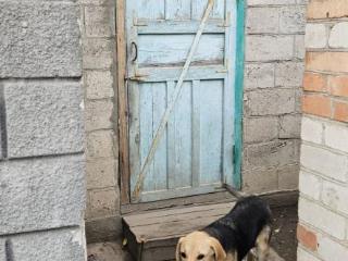 1-этажный дом, 52 м², 26 соток