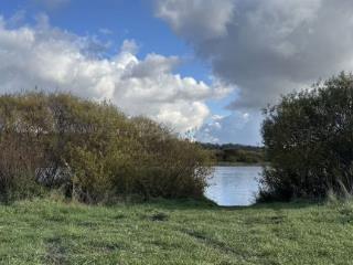  дом, 115.3 м², 7.5 соток