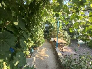 1-этажный дом, 95.1 м², 9.9 соток