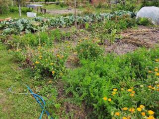  коттедж, 45.8 м², 11 соток