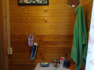 2-этажный дом, 110 м², 16 соток