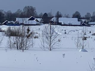 1-этажный дом, 25.3 м², 37 соток