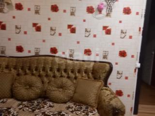 2-этажный дом, 224 м², 32 сотки