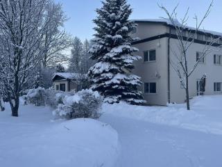  дом, 175.2 м², 100 соток