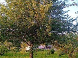  дом, 58.1 м², 30 соток