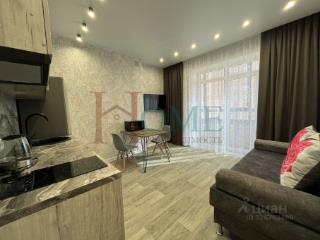 2-комн. квартира, 45 м², 4/24 этаж
