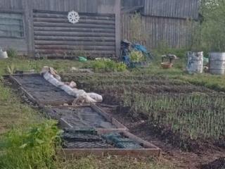  коттедж, 10 м², 6 соток