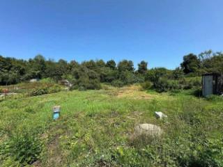 1-этажный дом, 60.1 м², 23 сотки