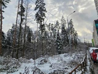 Студия, 13.4 м², 2/26 этаж