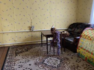  дом, 110 м², 24 сотки