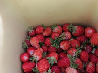  дом, 30 м², 6 соток