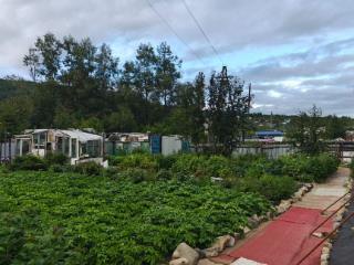  дом, 38.5 м², 15.5 соток