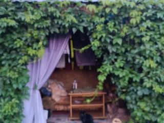 1-этажный дом, 84.5 м², 7.1 соток