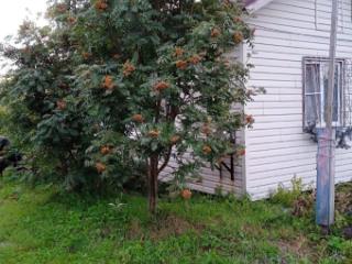 1-этажный дом, 31 м², 19.6 соток