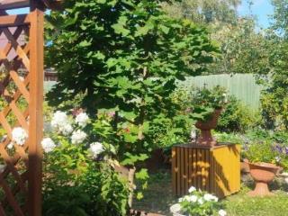 1-этажный дом, 19.7 м², 5.5 соток