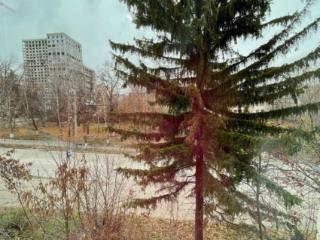 Комната, 53.2 м²