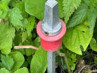 1-этажный дом, 39.8 м², 15 соток