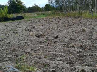  дом, 40 м², 29 соток