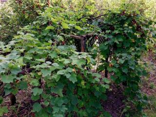  коттедж, 60 м², 10 соток