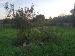  дом, 78.2 м², 12 соток